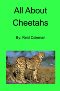 All About Cheetahs