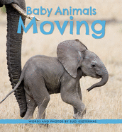 Baby Animals Moving (Baby Animals #2) - PGW