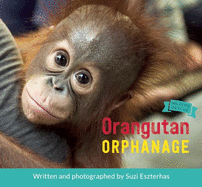 Orangutan Orphanage (Wildlife Rescue)