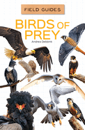 Birds of Prey (Field Guides)