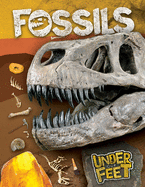 Fossils (Under Our Feet) (1ST ed.)